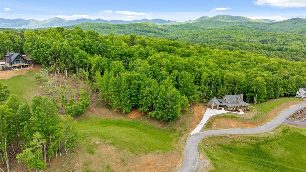 Lot 39 Big Valley Overlook Property Photo 10