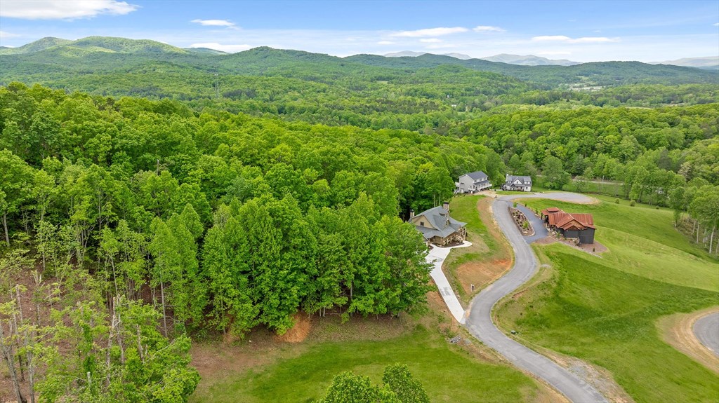 Lot 39 Big Valley Overlook Property Photo 11