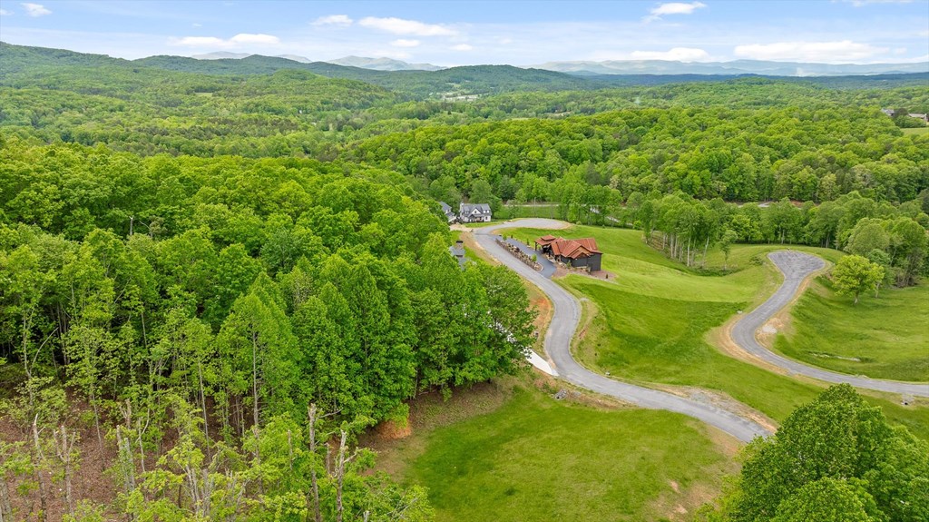 Lot 39 Big Valley Overlook Property Photo 12