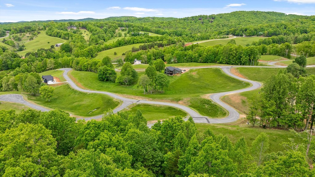 Lot 39 Big Valley Overlook Property Photo 14