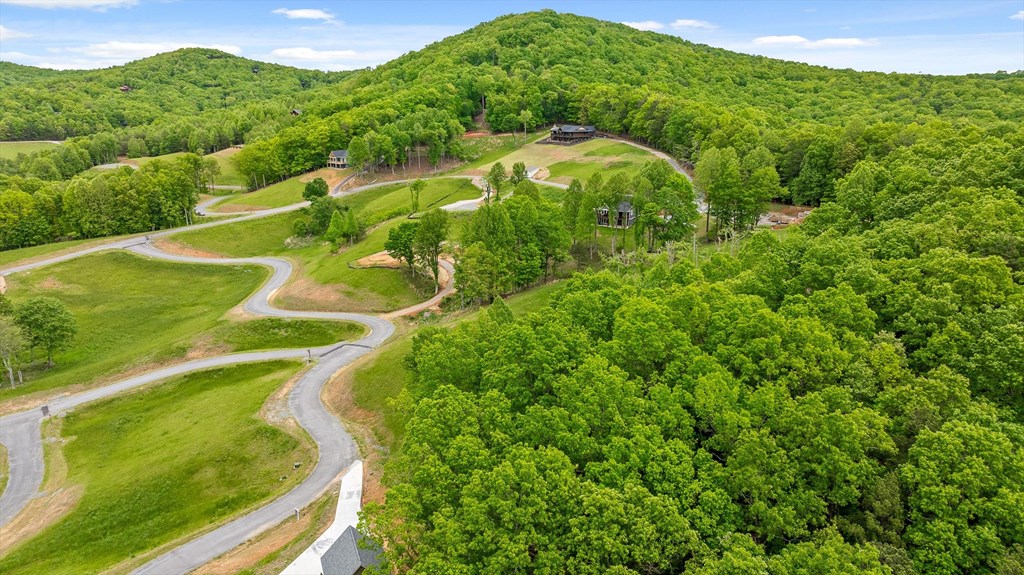 Lot 39 Big Valley Overlook Property Photo 15