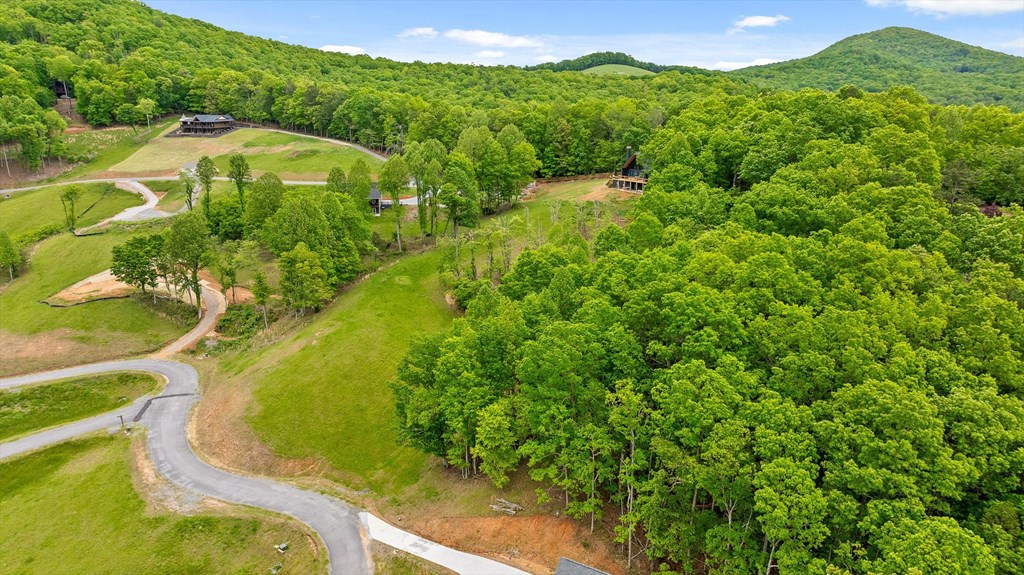 Lot 39 Big Valley Overlook Property Photo 16