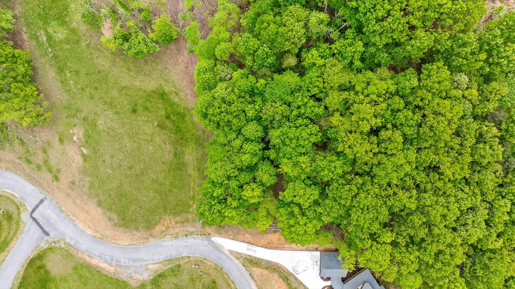 Lot 39 Big Valley Overlook Property Photo 17