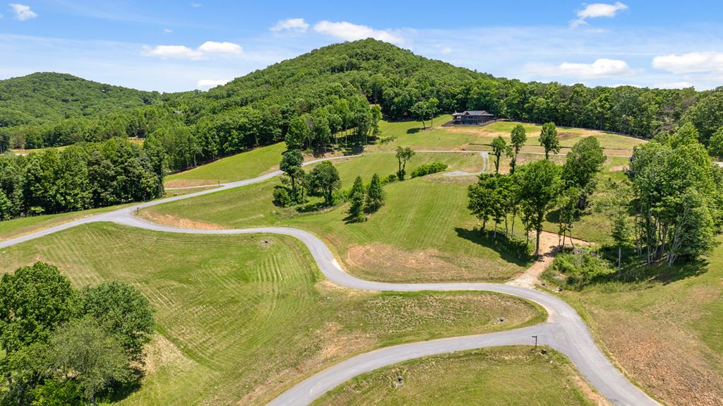 Lot 39 Big Valley Overlook Property Photo 31