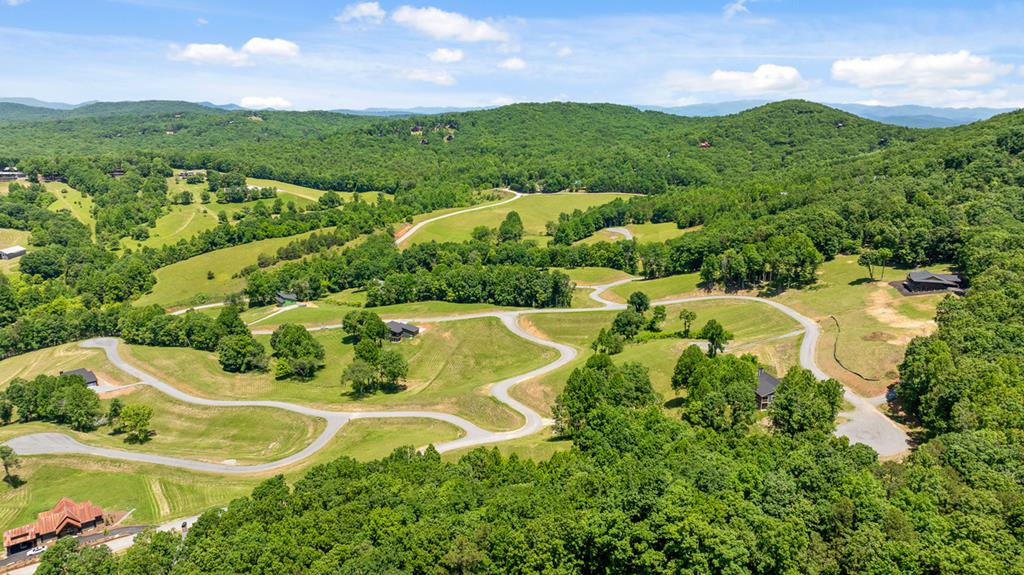 Lot 39 Big Valley Overlook Property Photo 32
