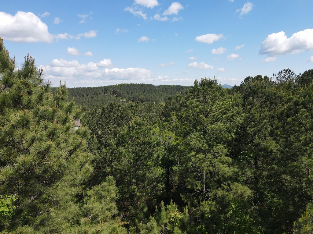Lot 379 Marshall Rise Road Property Photo 3