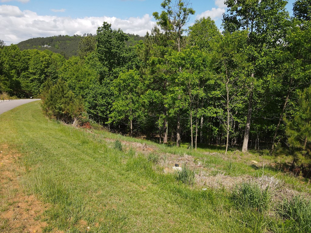 Lot 379 Marshall Rise Road Property Photo 4