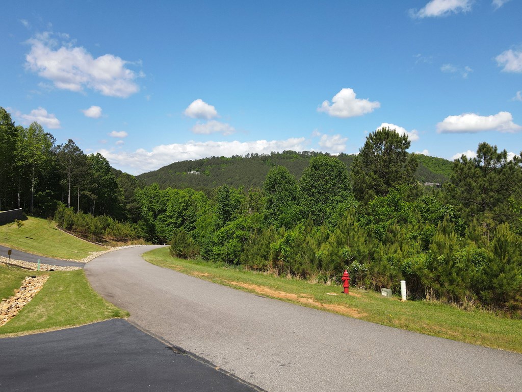 Lot 379 Marshall Rise Road Property Photo 30
