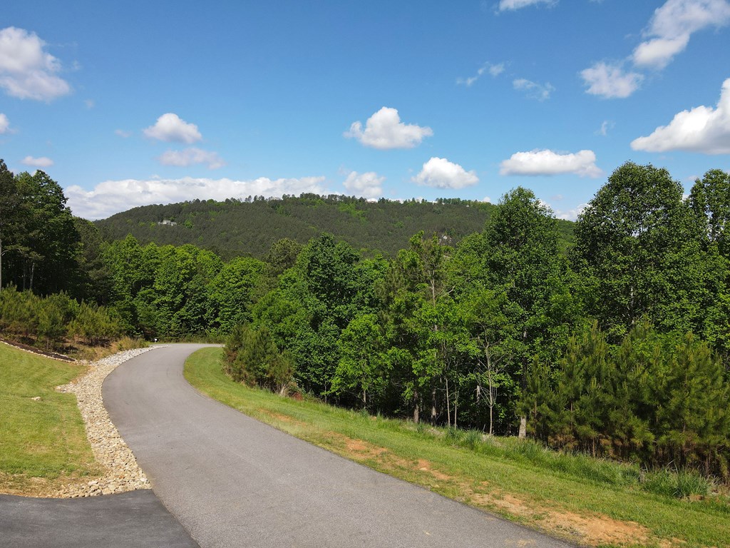 Lot 379 Marshall Rise Road Property Photo 31