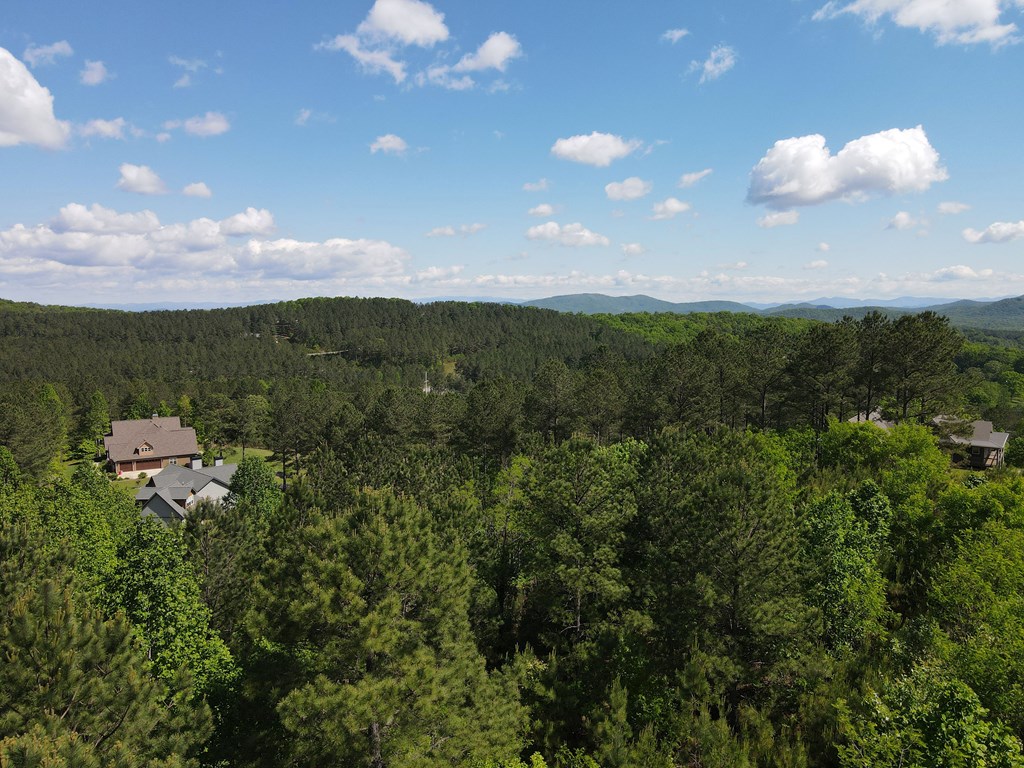Lot 379 Marshall Rise Road Property Photo 35