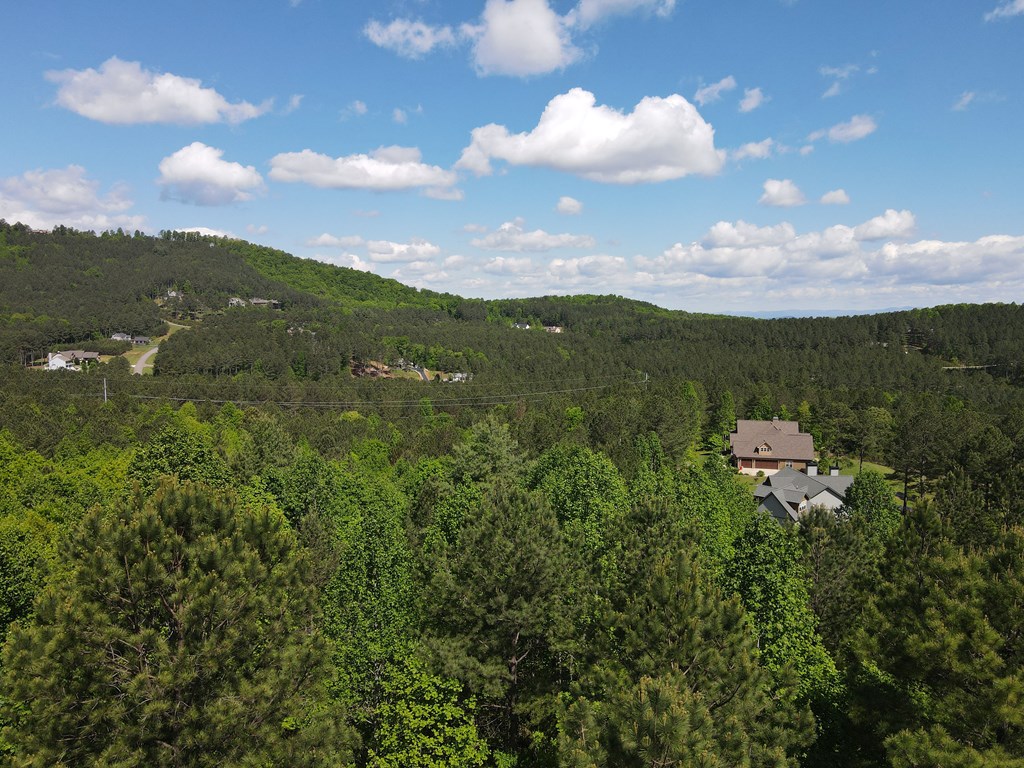 Lot 379 Marshall Rise Road Property Photo 36