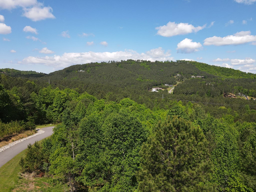 Lot 379 Marshall Rise Road Property Photo 37