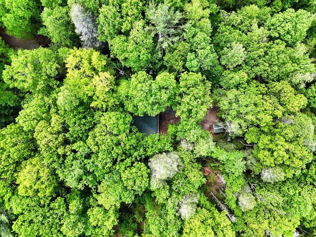 46 Evening Shade Property Photo 31