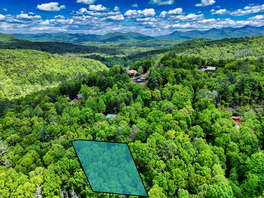 46 Evening Shade Property Photo 36