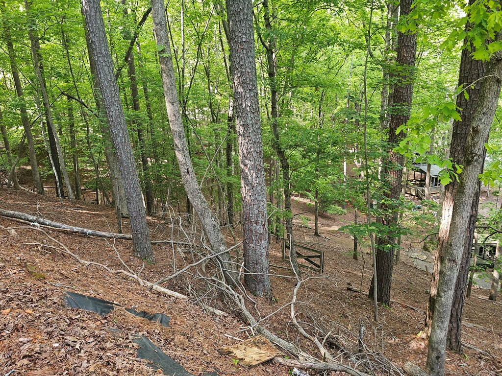 133 32nd Street Property Photo 10