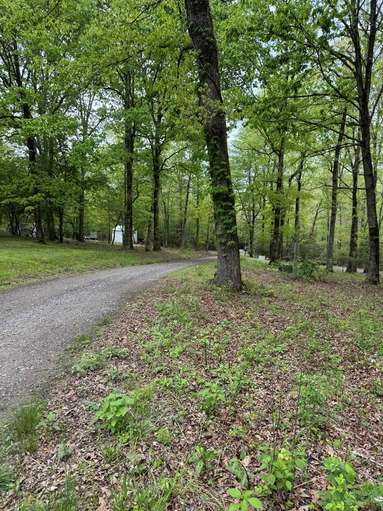 25 Holly Point Drive Property Photo 2