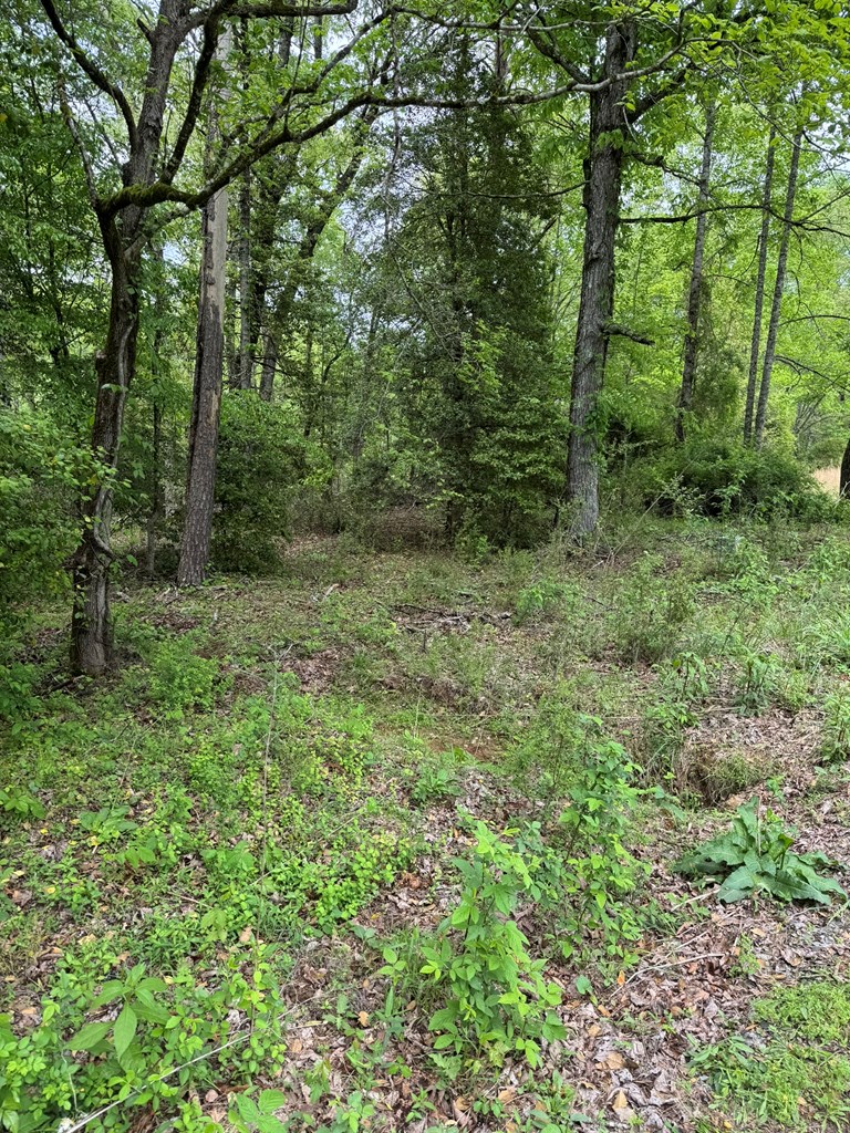 25 Holly Point Drive Property Photo 3