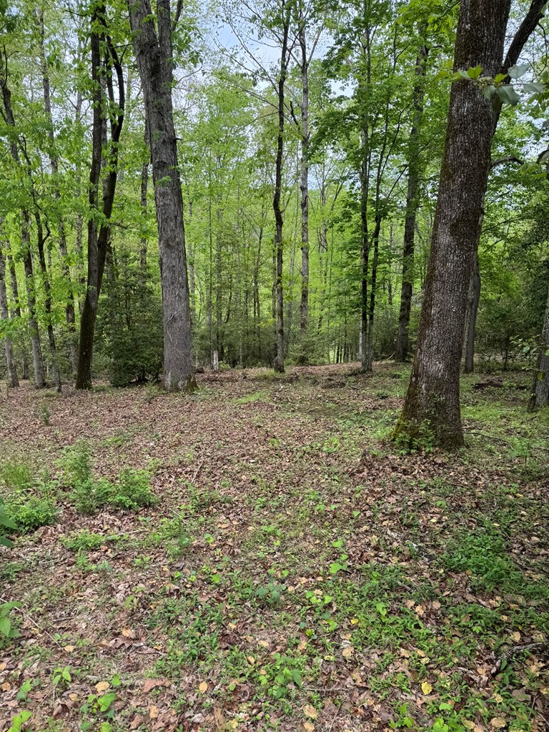 25 Holly Point Drive Property Photo 4