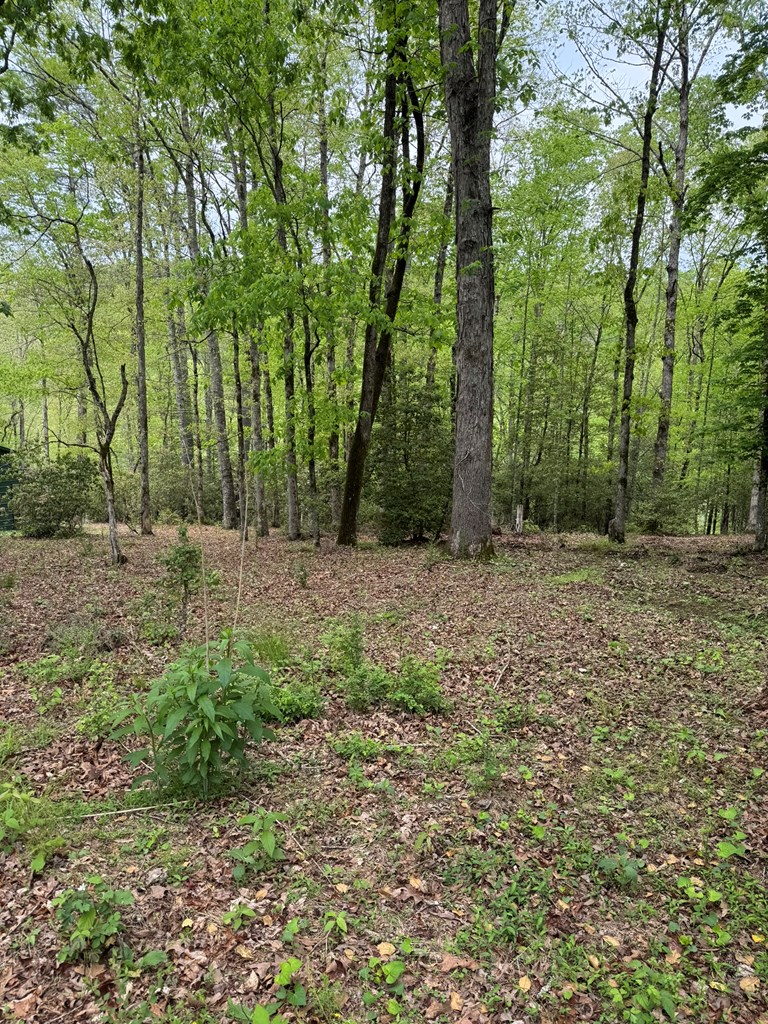 25 Holly Point Drive Property Photo 5