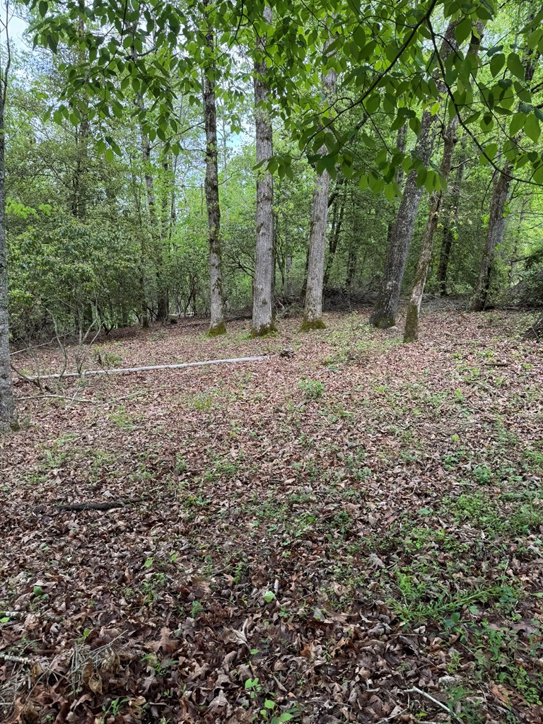 25 Holly Point Drive Property Photo 7