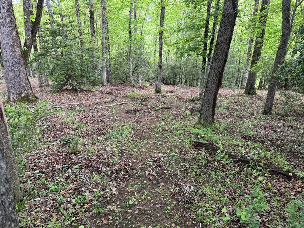 25 Holly Point Drive Property Photo 18