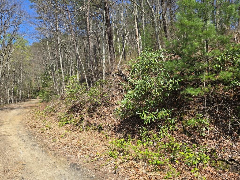 Trk 1&2 Kimsey Mountain Hwy Property Photo 2