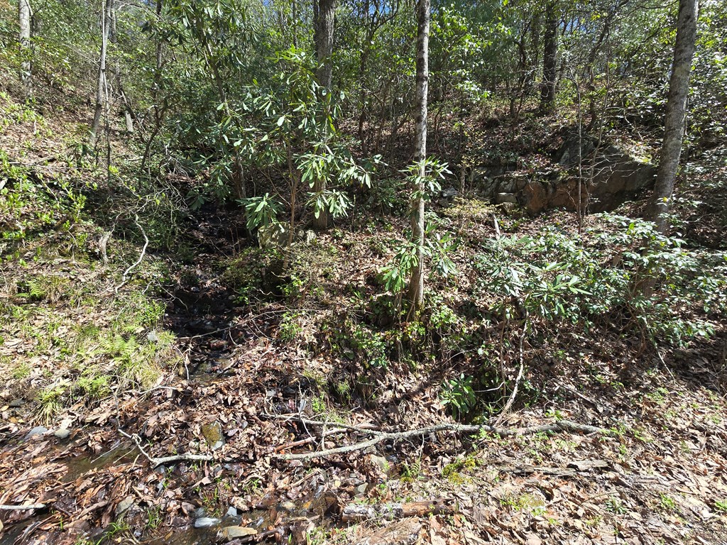 Trk 1&2 Kimsey Mountain Hwy Property Photo 29