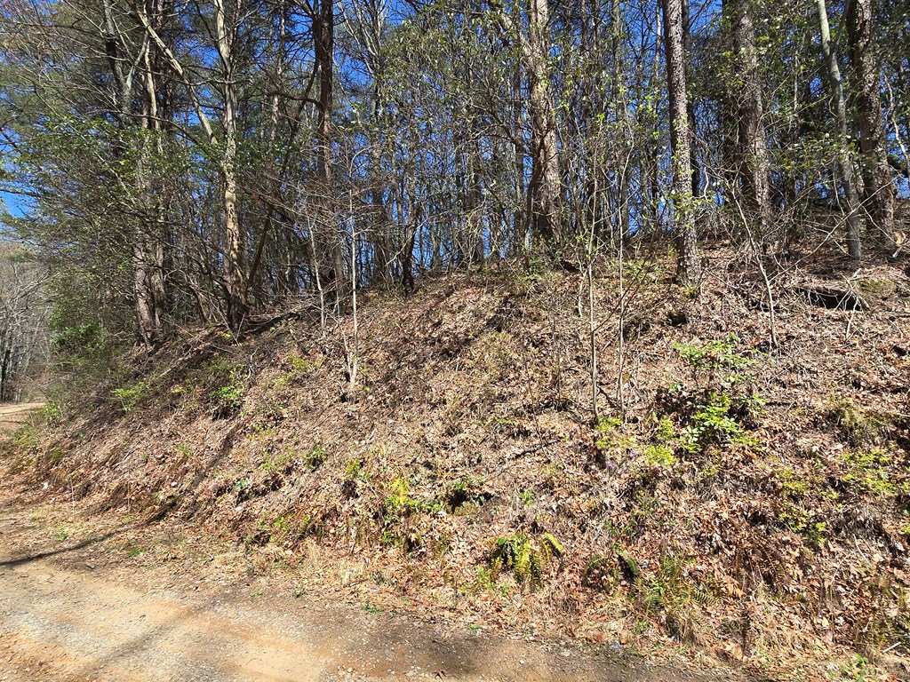 Trk 1&2 Kimsey Mountain Hwy Property Photo 33