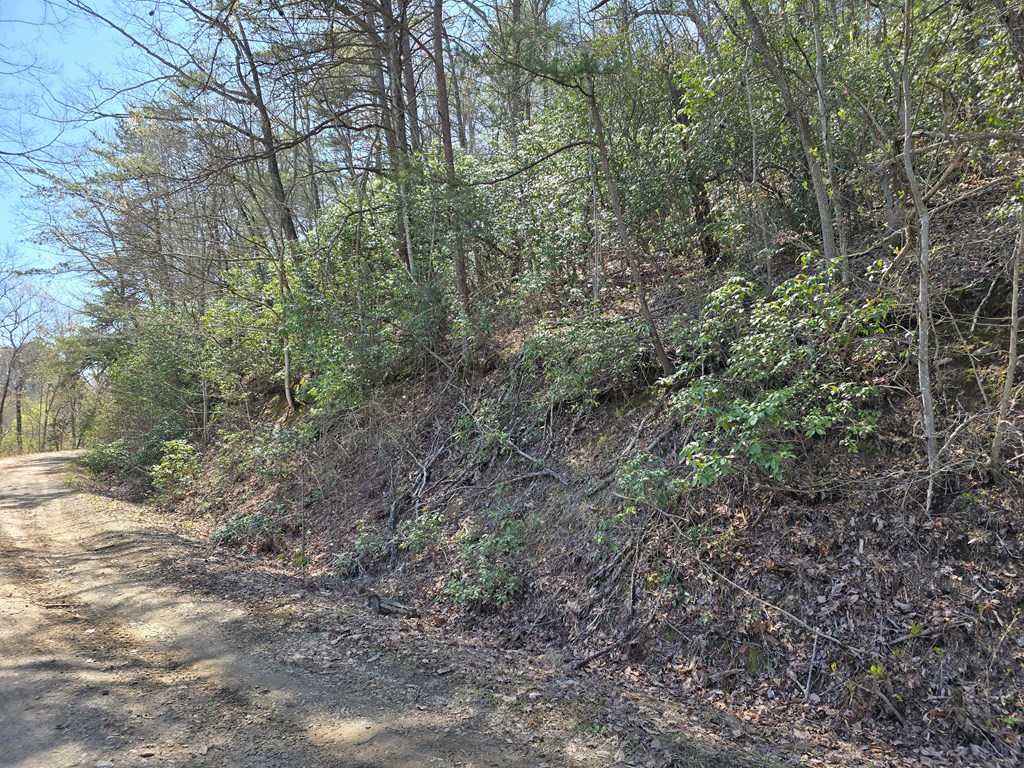 Trk 1&2 Kimsey Mountain Hwy Property Photo 34