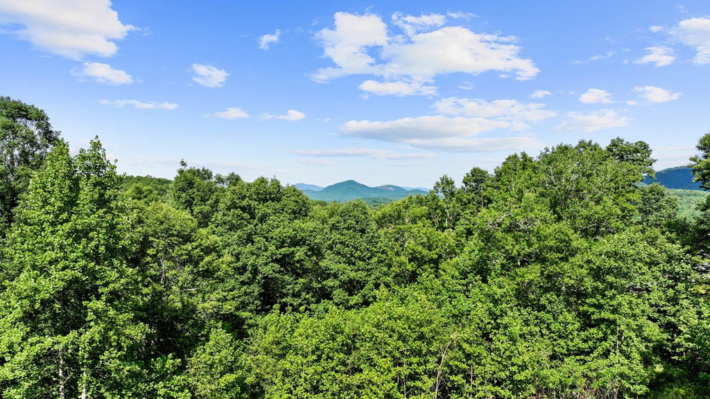 120 Brannon Ridge Res Property Photo 2