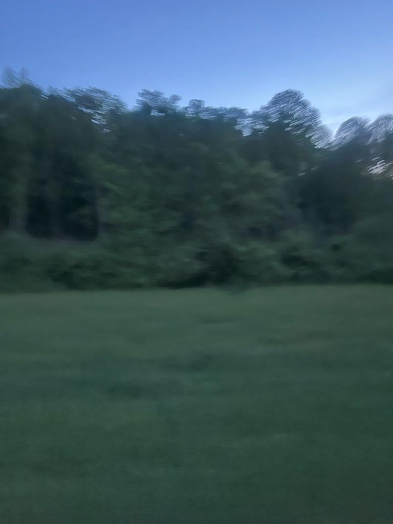 0 Hardscrabble Road Property Photo 3