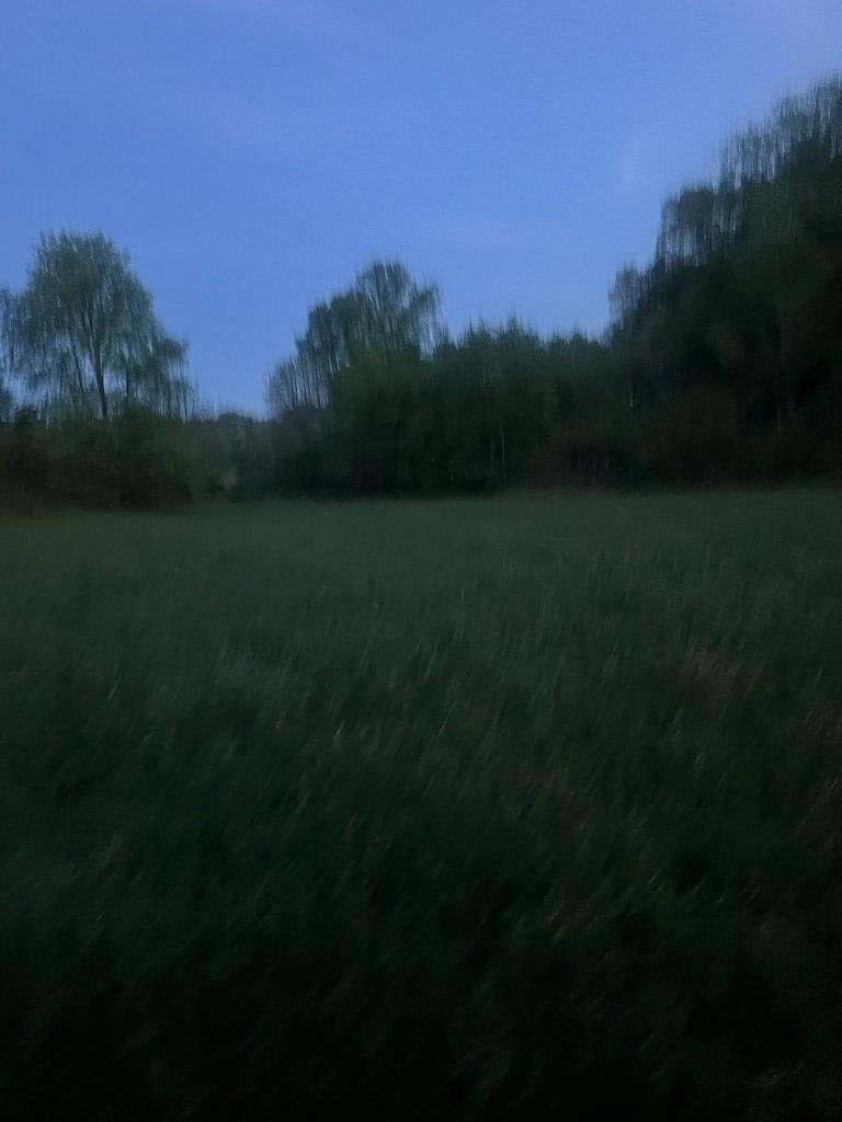 0 Hardscrabble Road Property Photo 6