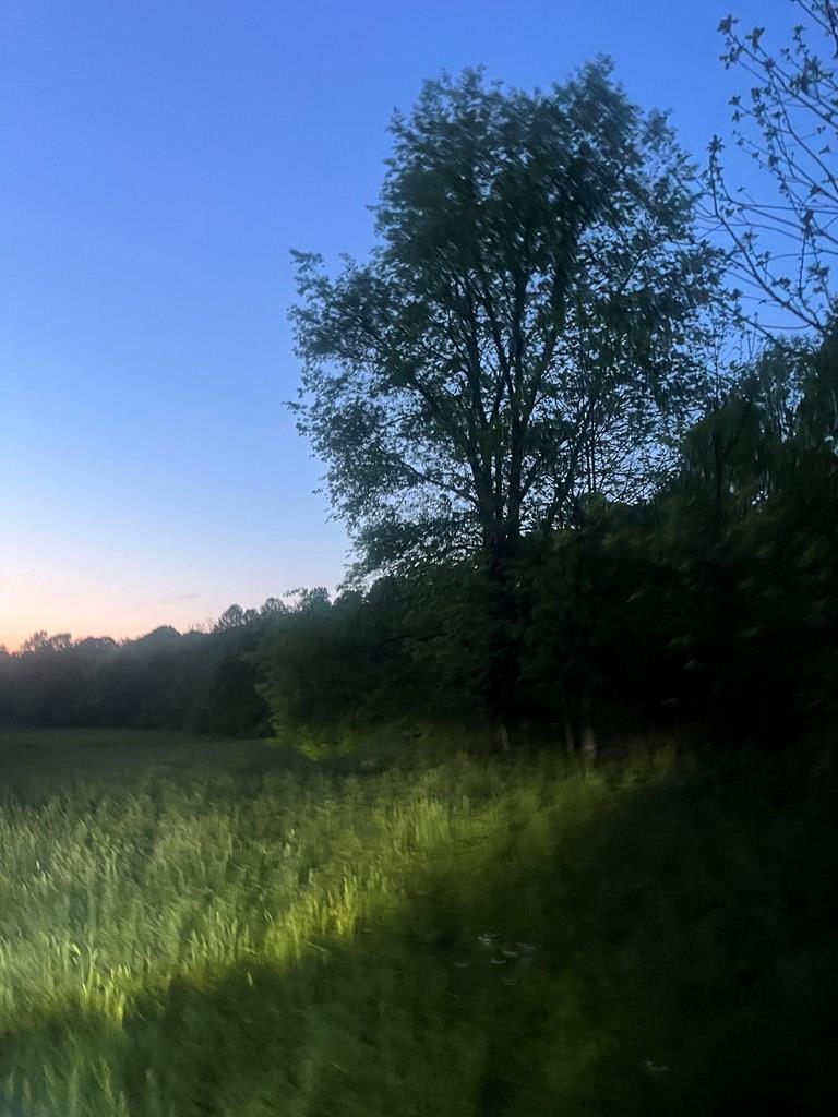 0 Hardscrabble Road Property Photo 7