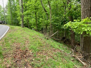 00 Lemmon Lane Property Photo 6