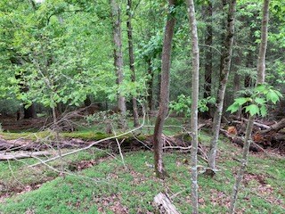 00 Lemmon Lane Property Photo 8