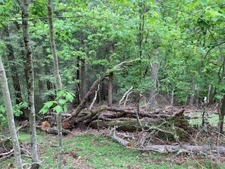 00 Lemmon Lane Property Photo 9