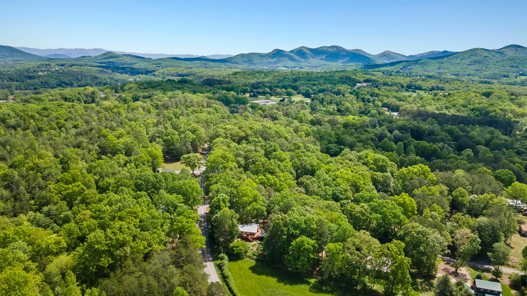 573 Forest Circle Property Photo 40