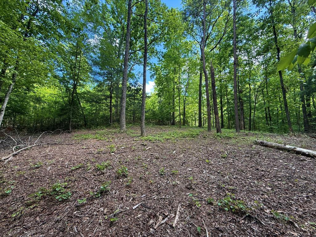 164 Reindeer Lane Property Photo 1