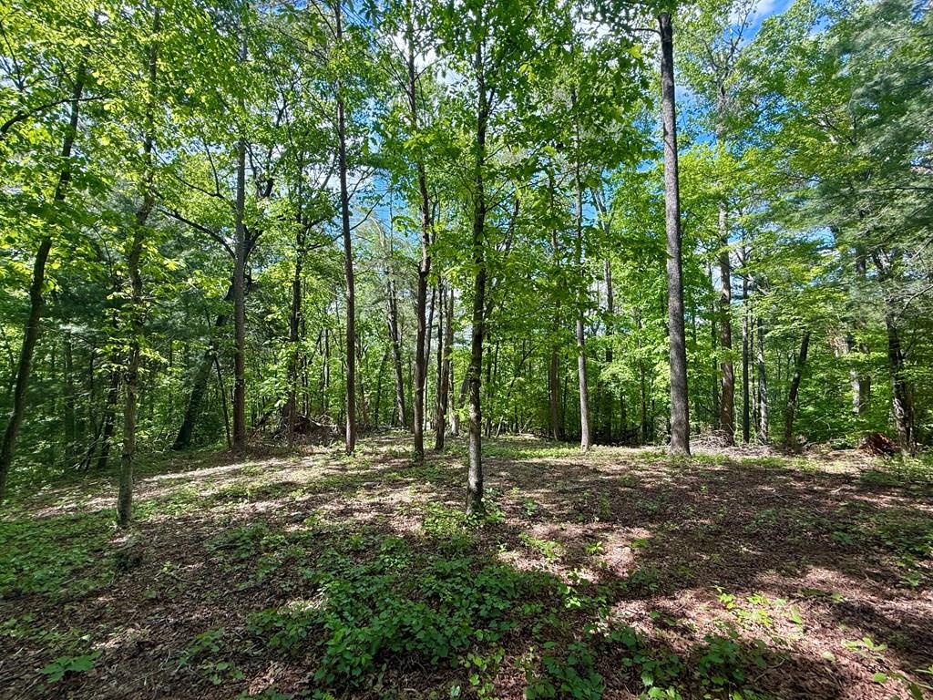 164 Reindeer Lane Property Photo 2