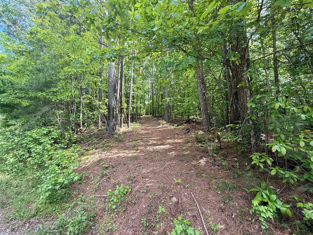164 Reindeer Lane Property Photo 3