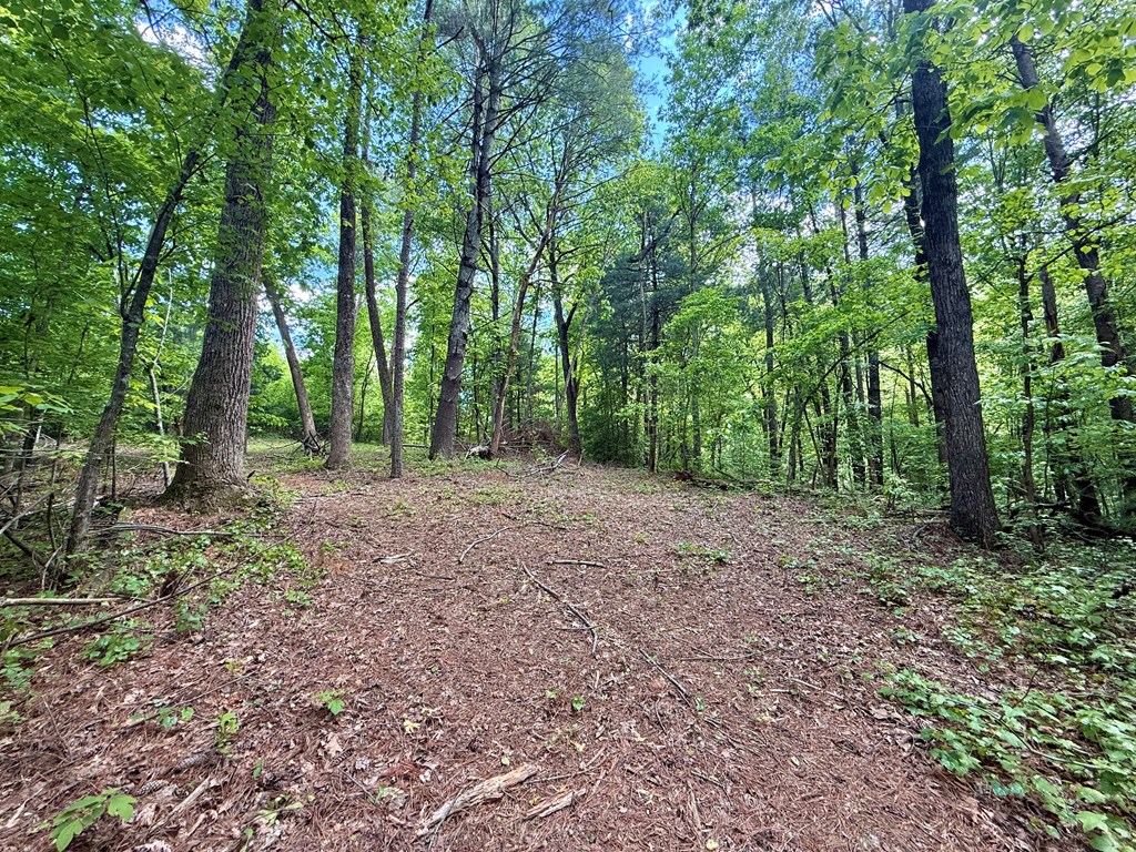164 Reindeer Lane Property Photo 4