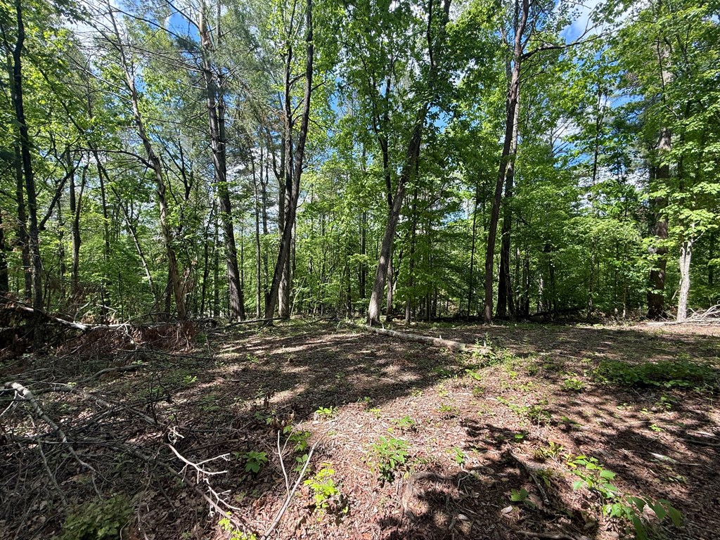 164 Reindeer Lane Property Photo 8