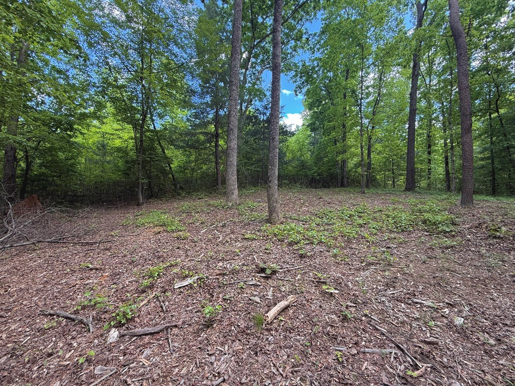 164 Reindeer Lane Property Photo 10