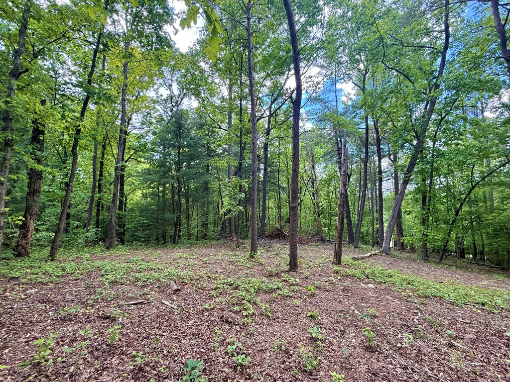 164 Reindeer Lane Property Photo 11