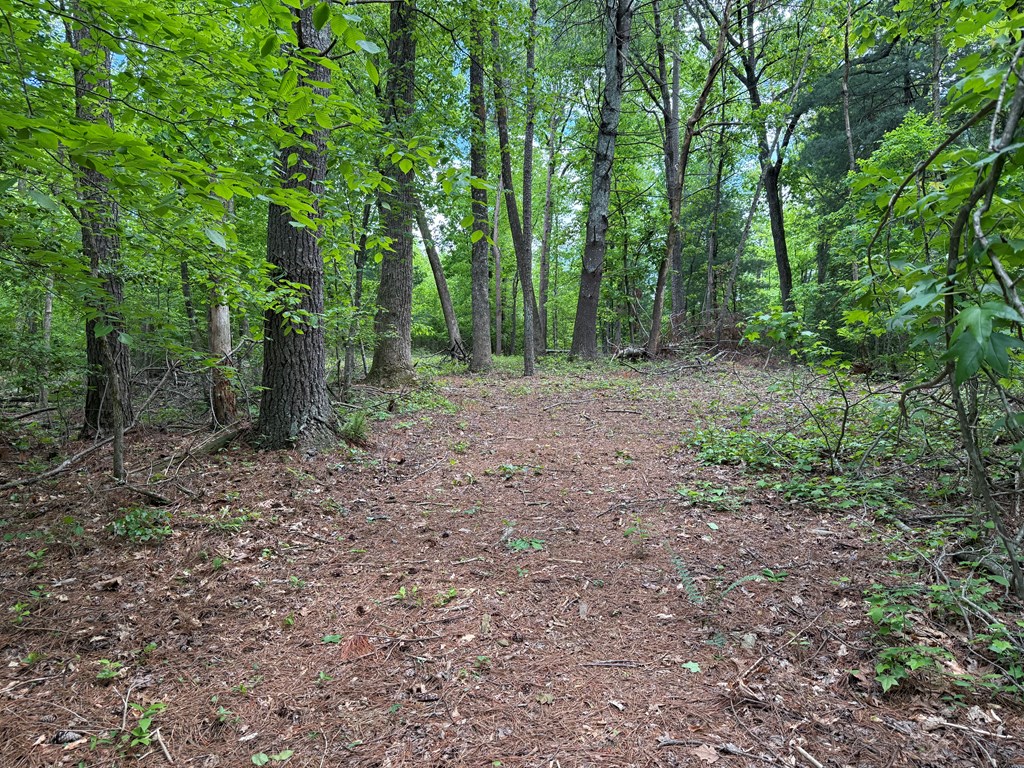 164 Reindeer Lane Property Photo 12