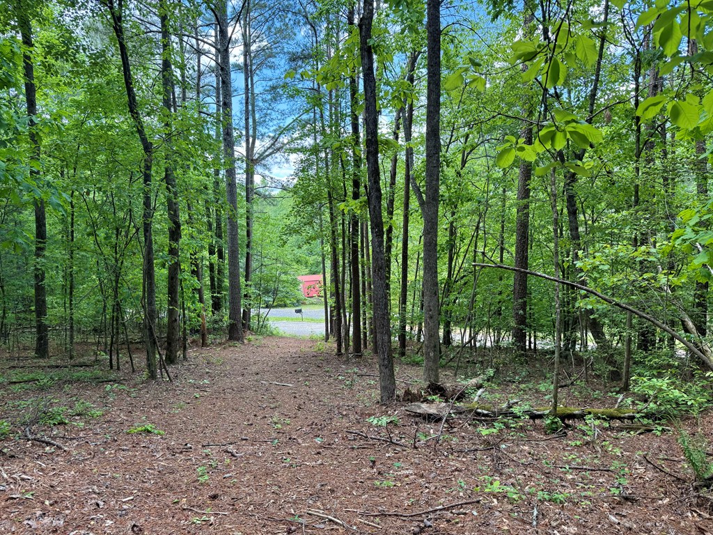 164 Reindeer Lane Property Photo 14