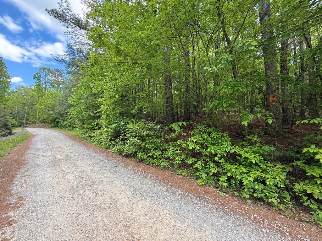 164 Reindeer Lane Property Photo 21