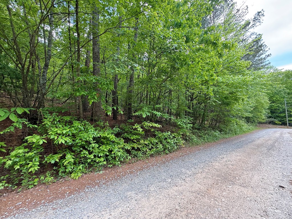 164 Reindeer Lane Property Photo 22