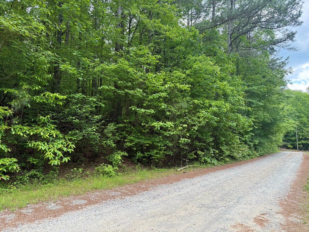 164 Reindeer Lane Property Photo 23
