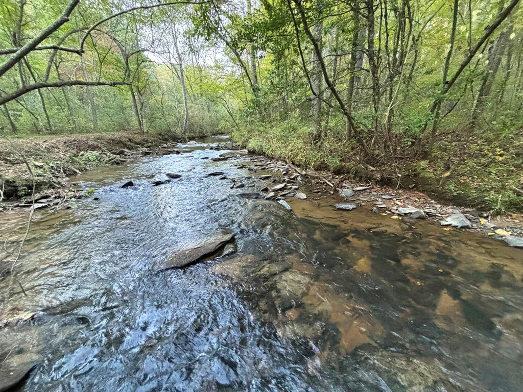 2010 Mt. Springer Road Property Photo 1